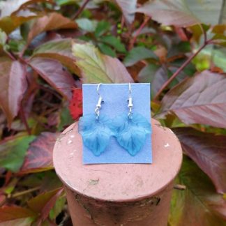 Sininen lehtikorvakoru